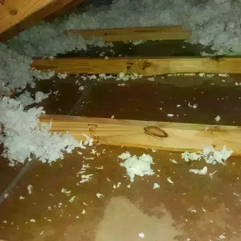 Attic Water Damage in Thomasville, GA